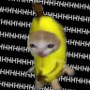 Meet your Posher, Kylie